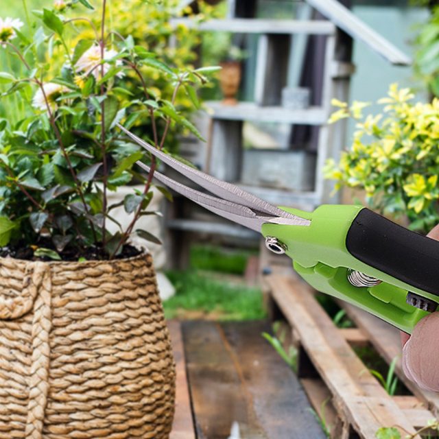 sell like hot cakes Snips (169)